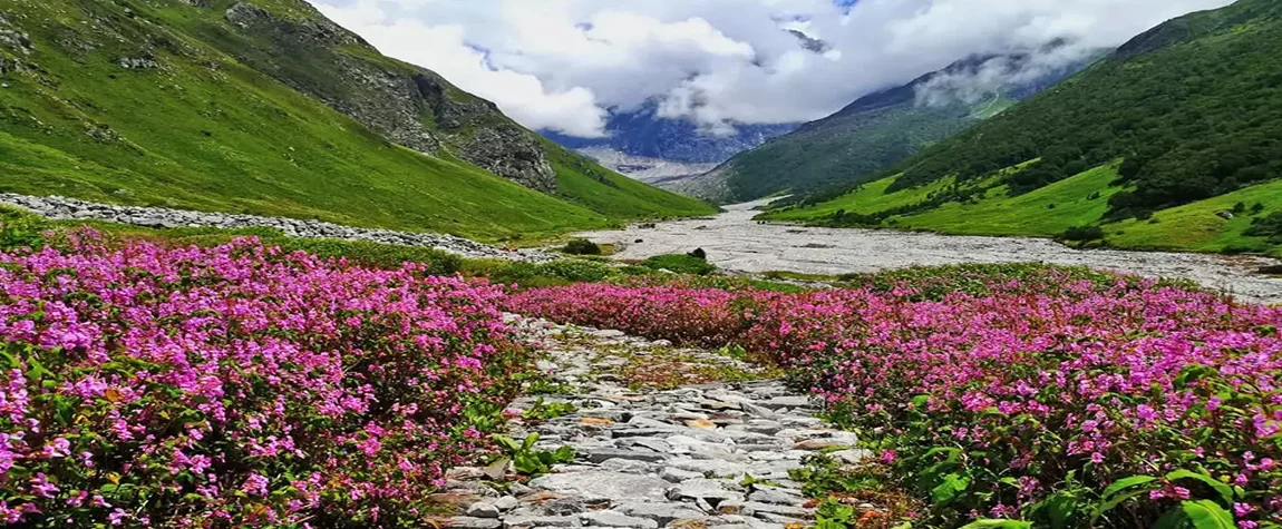 Best time to visit valley of flowers in Uttarakhand