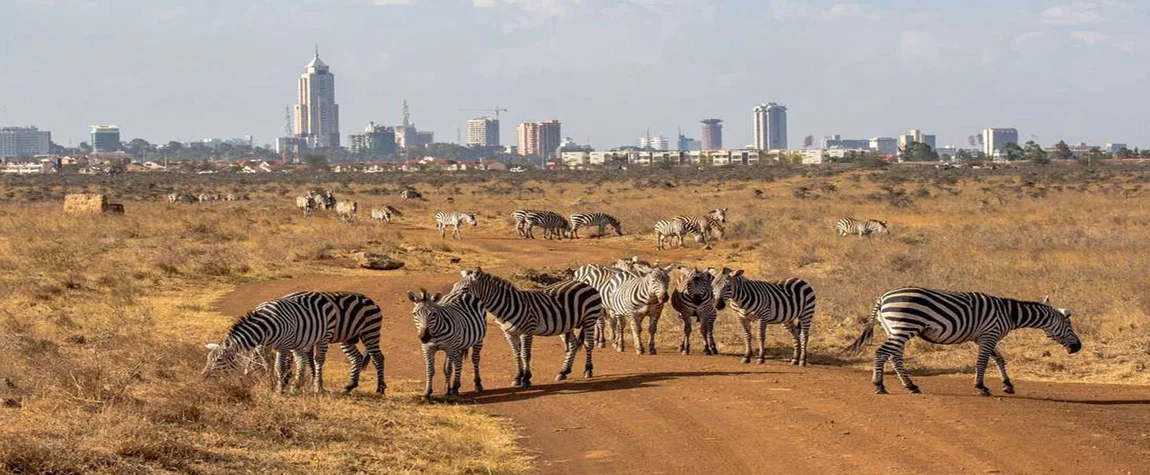 Things to Do in Nairobi Kenya