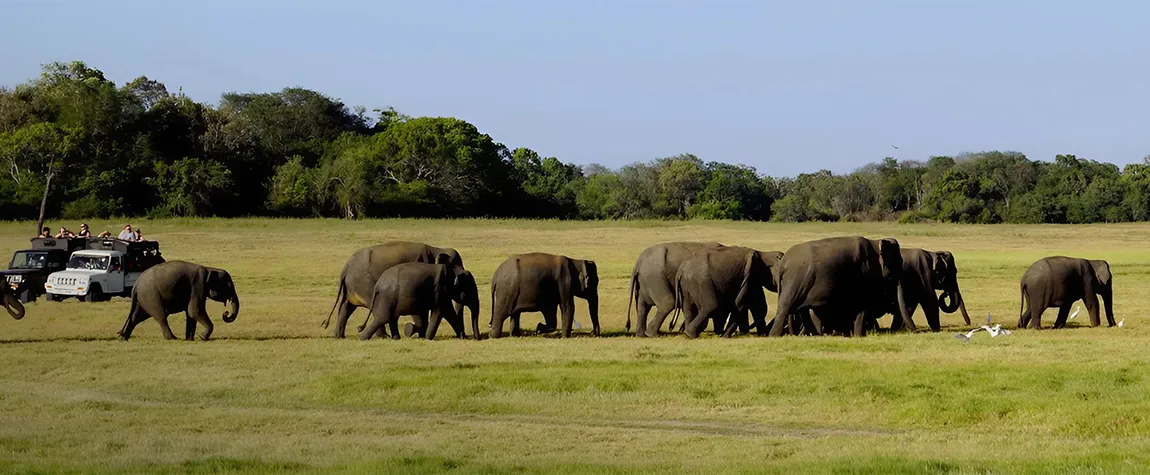 Gal Oya National Park