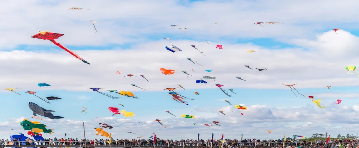 Makar Sankranti and the Gujarat Kite Festival