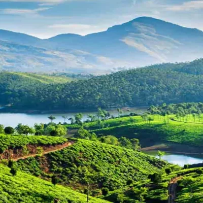 The 7 best Kerala tourist places to visit for ultimate adventure