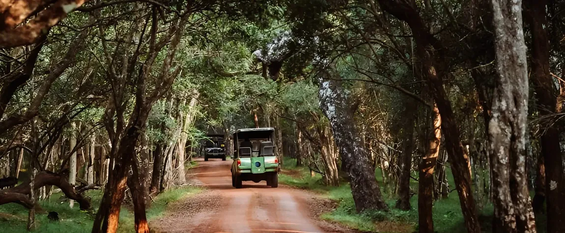 Wilpattu National Park