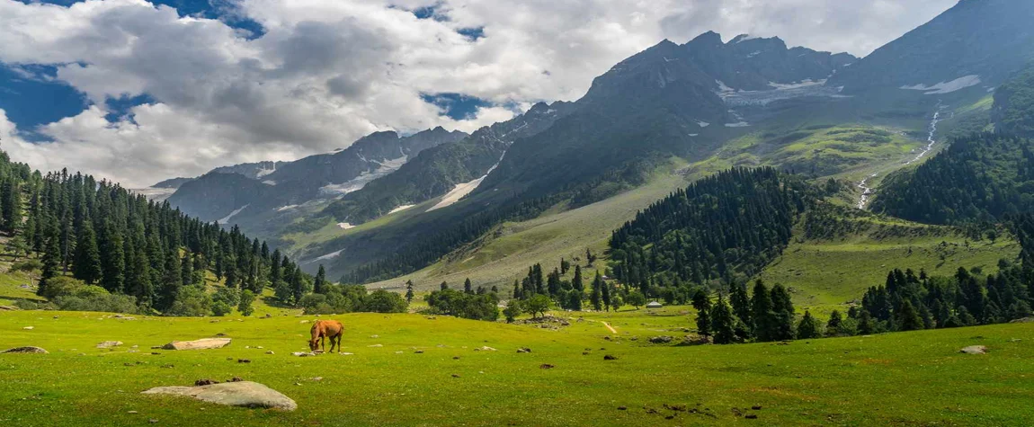 Kashmir Valley Viewpoint