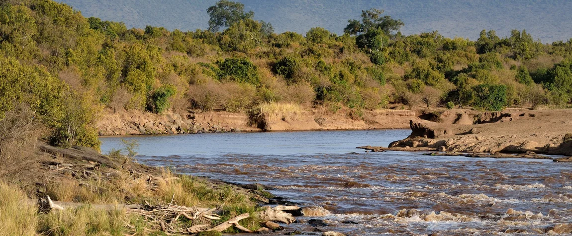 Mara River