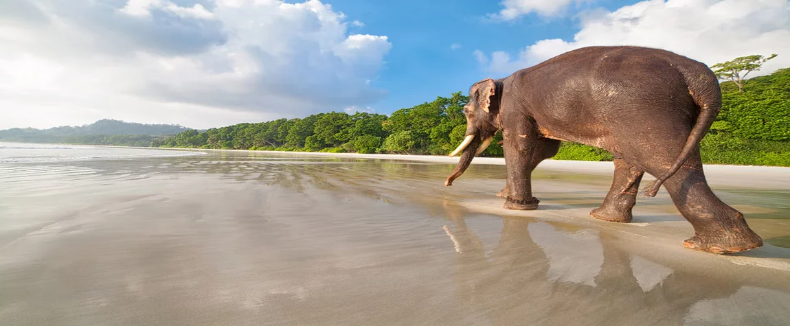 3. Elephant Beach, Havelock Island