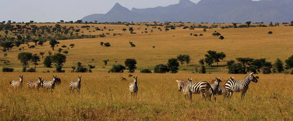  Lake Mburo National Park