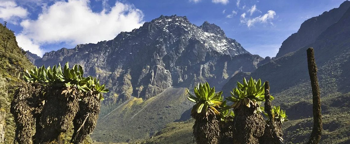  Rwenzori Mountains National Park