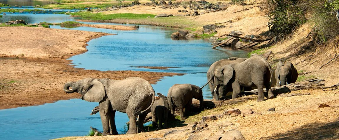 Saadani National Park