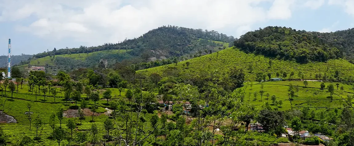 Tiger Hill – A Hiker’s Delight - tourist places in Ooty