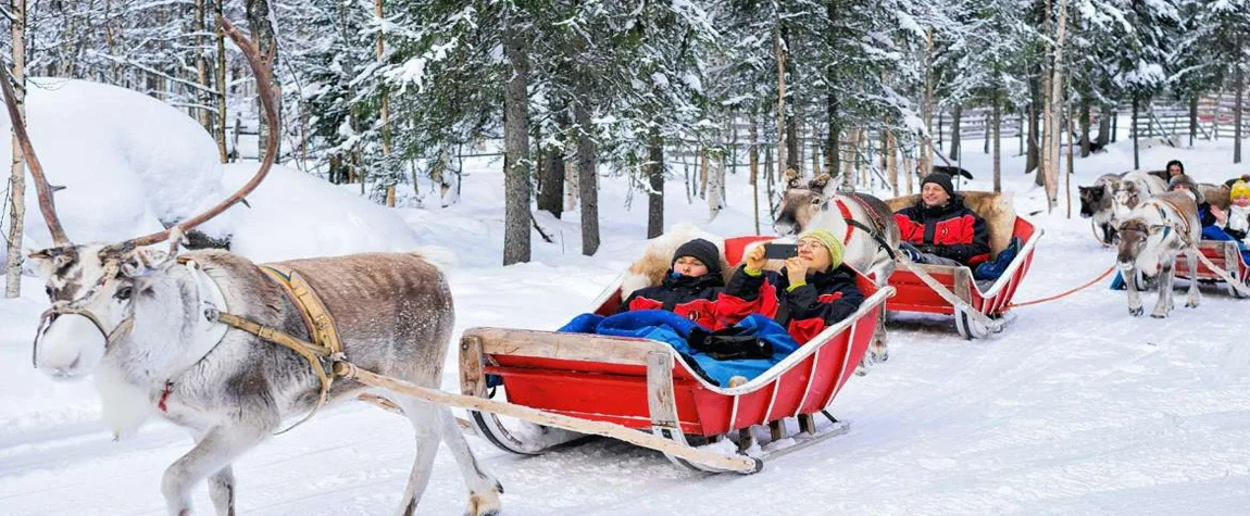 Enjoy Reindeer Sleigh Rides