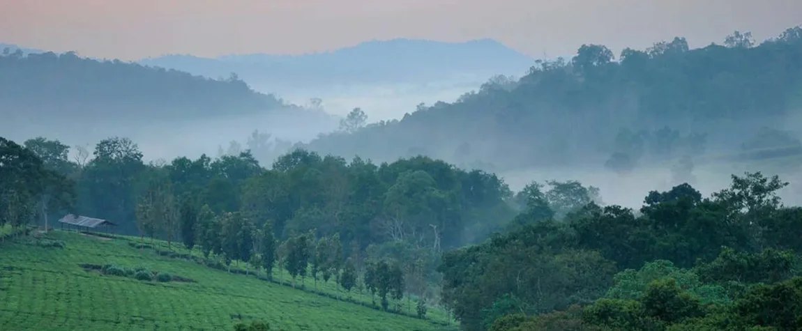  National Parks in Uganda