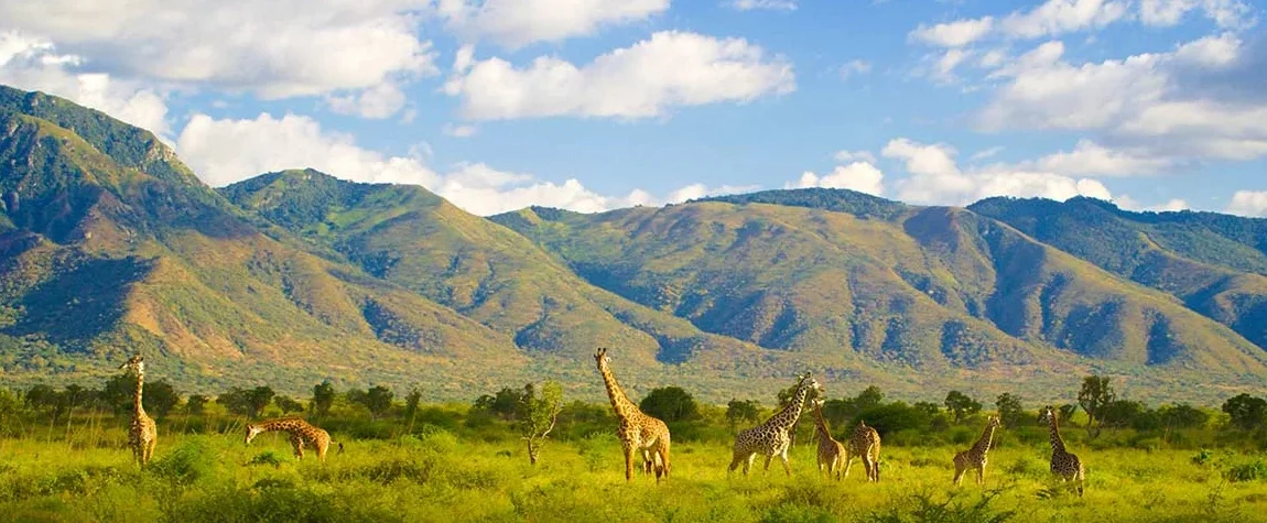 Mkomazi National Park