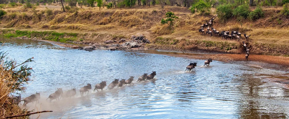 Masai Mara National Reserve in Kenya