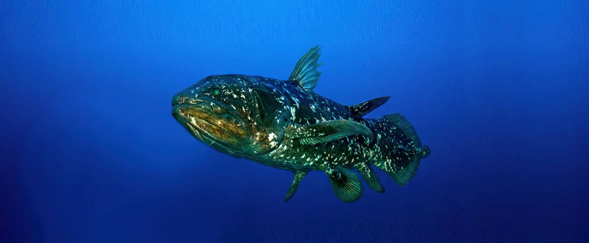 Coelacanth Marine Park