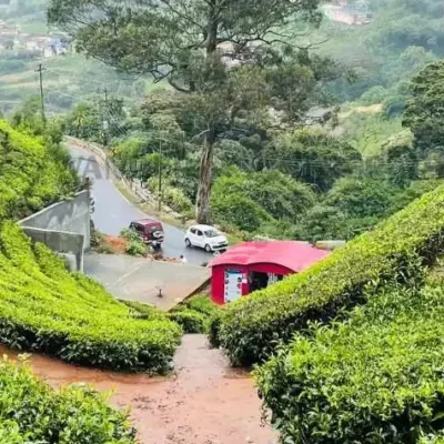 The 7 best tourist places in Ooty for adventure lovers