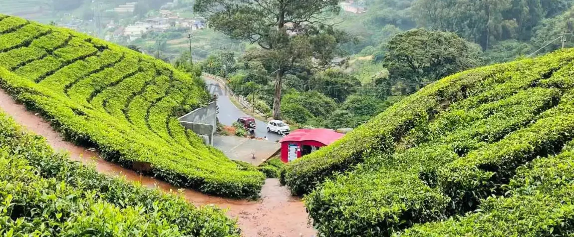 The 7 best tourist places in Ooty for adventure lovers