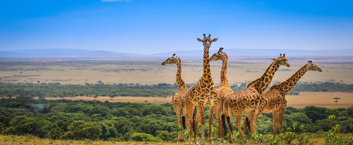 The 9 Best Attractions in Masai Mara National Reserve in Kenya