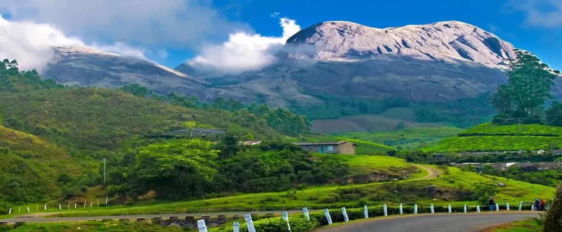 Top 7 best sightseeing destinations in Munnar for Tourist lovers - destinations in Munnar