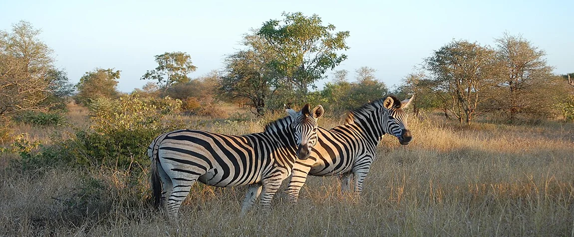 National Parks in South Africa