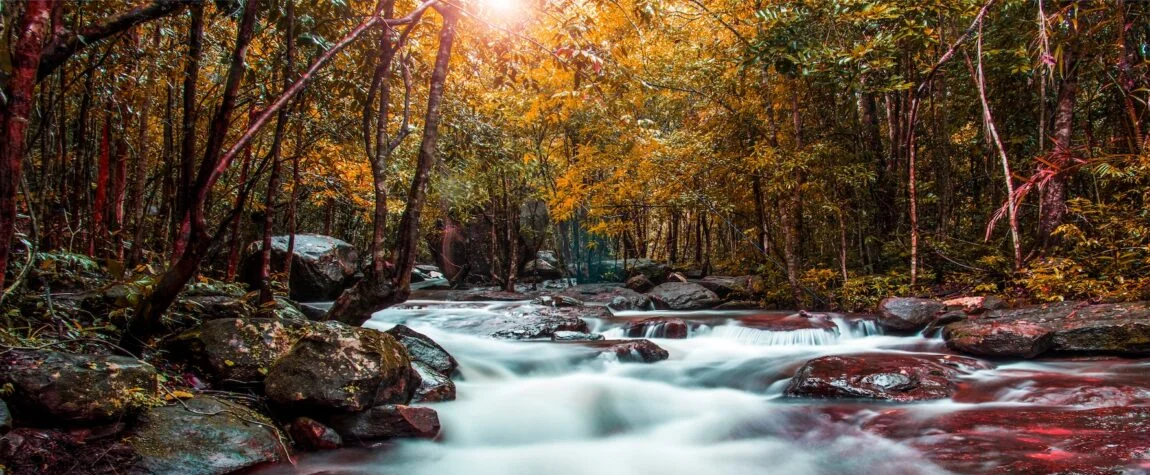 National Parks in Vietnam