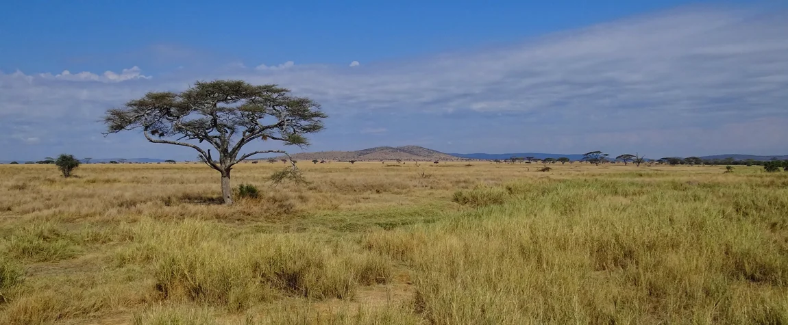 National Parks in Tanzania