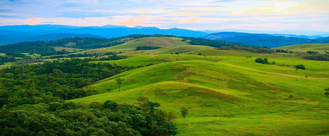  Virachey National Park