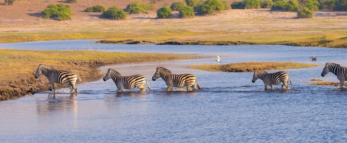 Serengeti National Park Tanzania