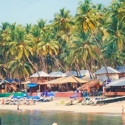 Things to Do in Goa India