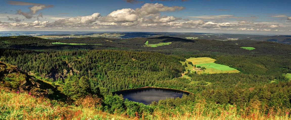 2. Black Forest National Park