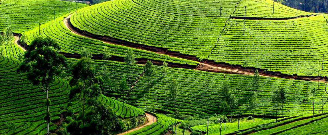 Places to Visit in Kerala