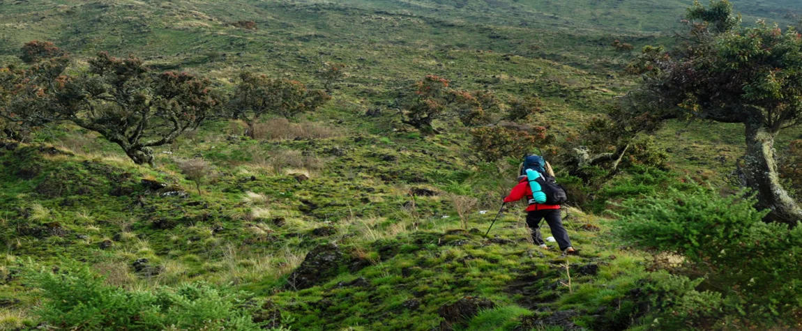 The Mount Cameroon Hiking Trails