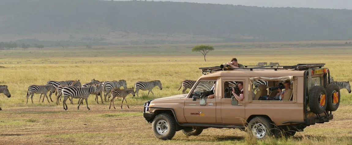 Enjoy a Game Drive