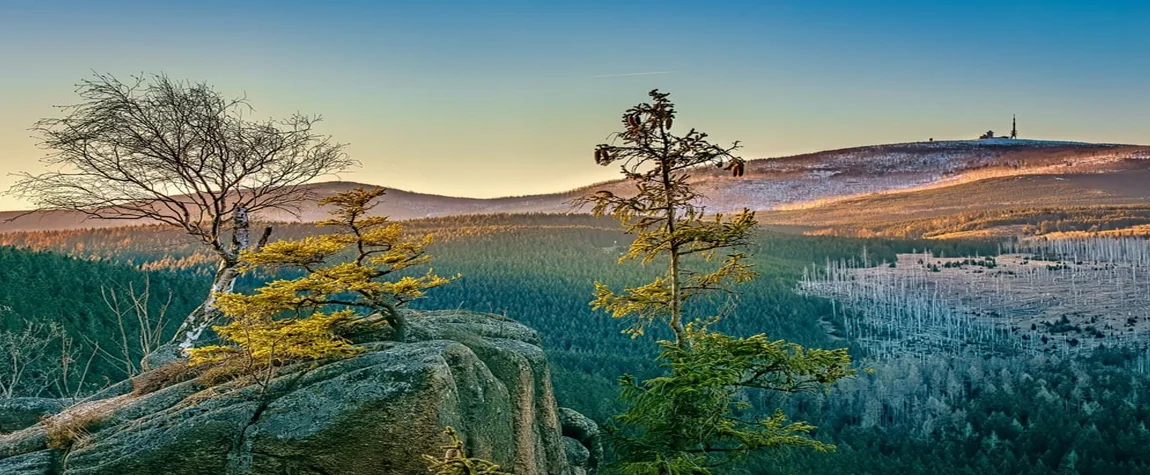 3. Harz National Park - National Parks in Germany