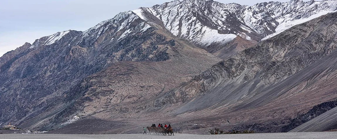 Nubra Valley – Snow-Kissed Deserts