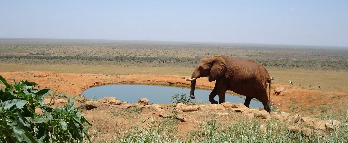 National Parks in Kenya