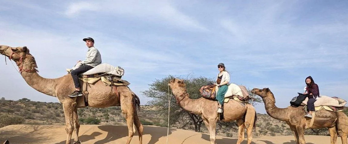 Camel Safari in Jodhpur