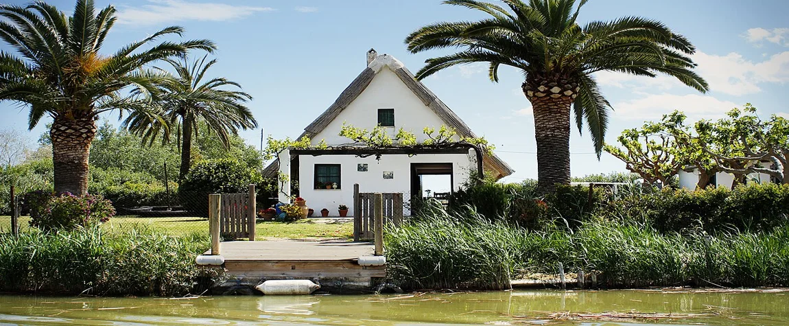 4. Learn more about Albufera Natural Park