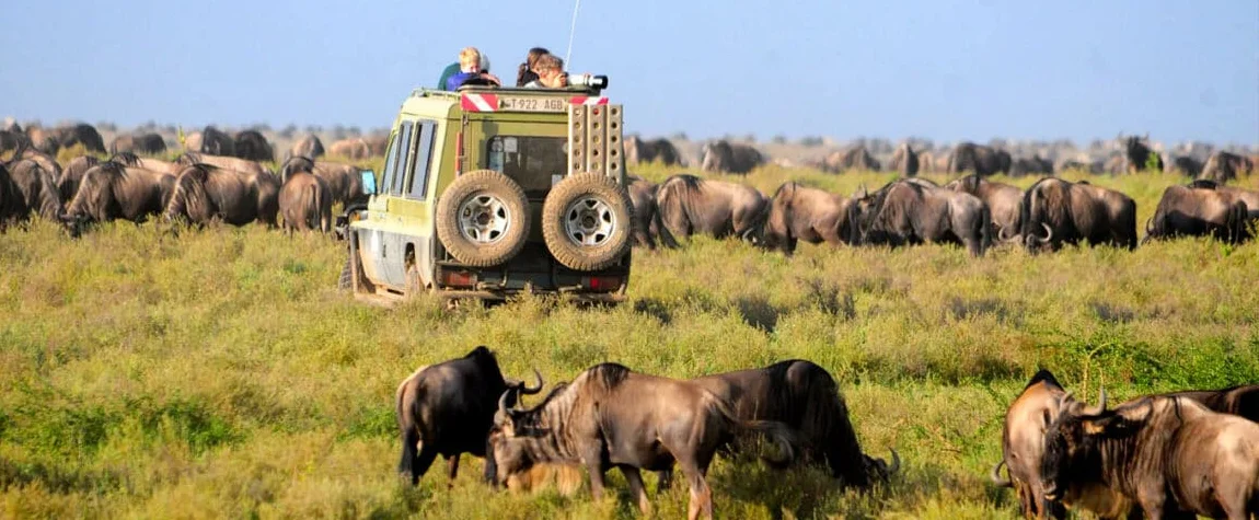 Visit the Serengeti Visitor Centre