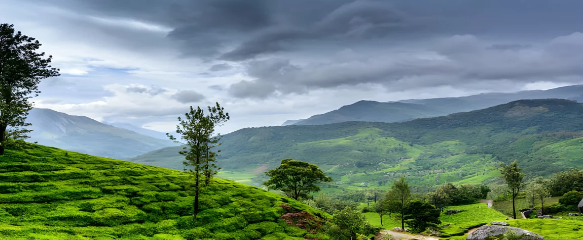 Wayanad - The Hidden Gem