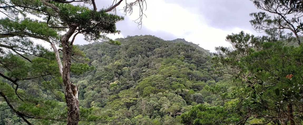  Kon Ka Kinh National Park