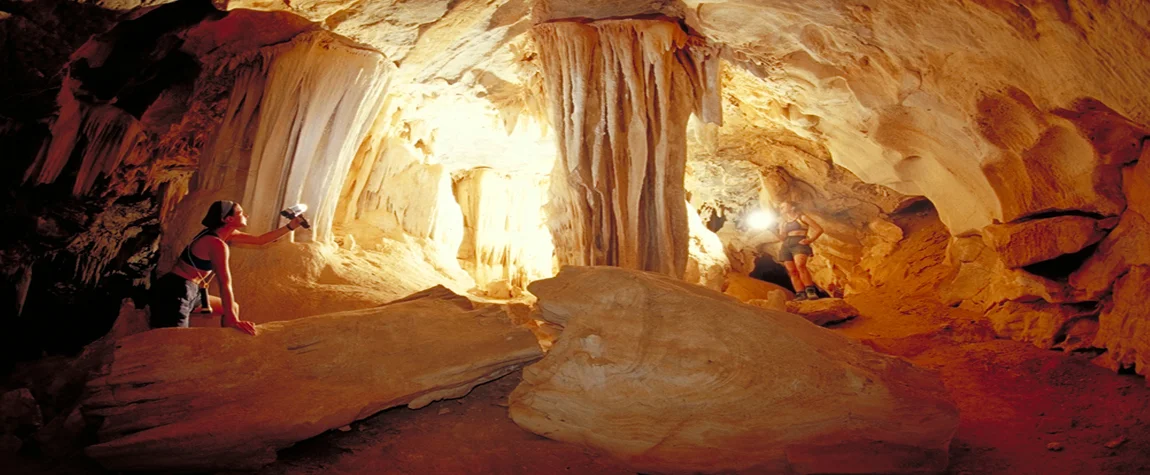 Al Hoota Cave: A Wonders of the Underground