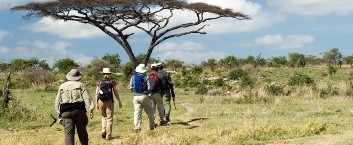 Experience a Walking Safari