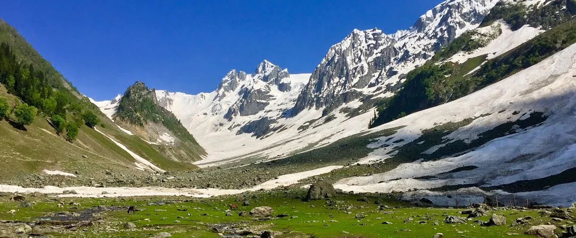 Thajiwas Glacier Trek