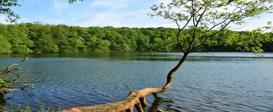 Wielkopolski National Park