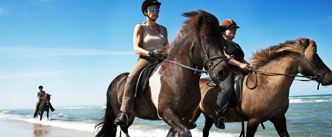 Horse riding in Denmark countryside