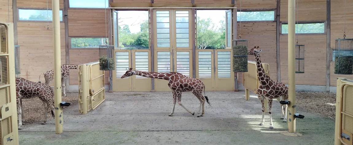 Rotterdam Zoo