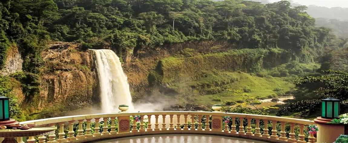 Mount Cameroon National Park