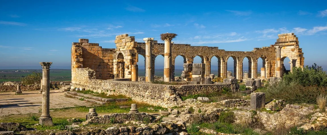 Wander Through the Ruins of  Volubilis