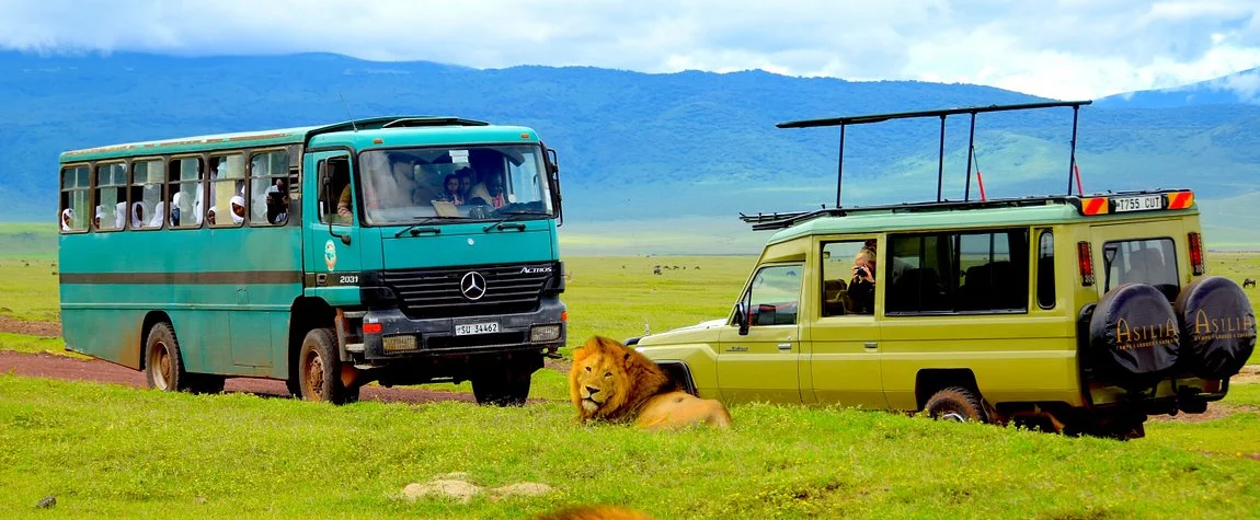 Visit the Ngorongoro Crater