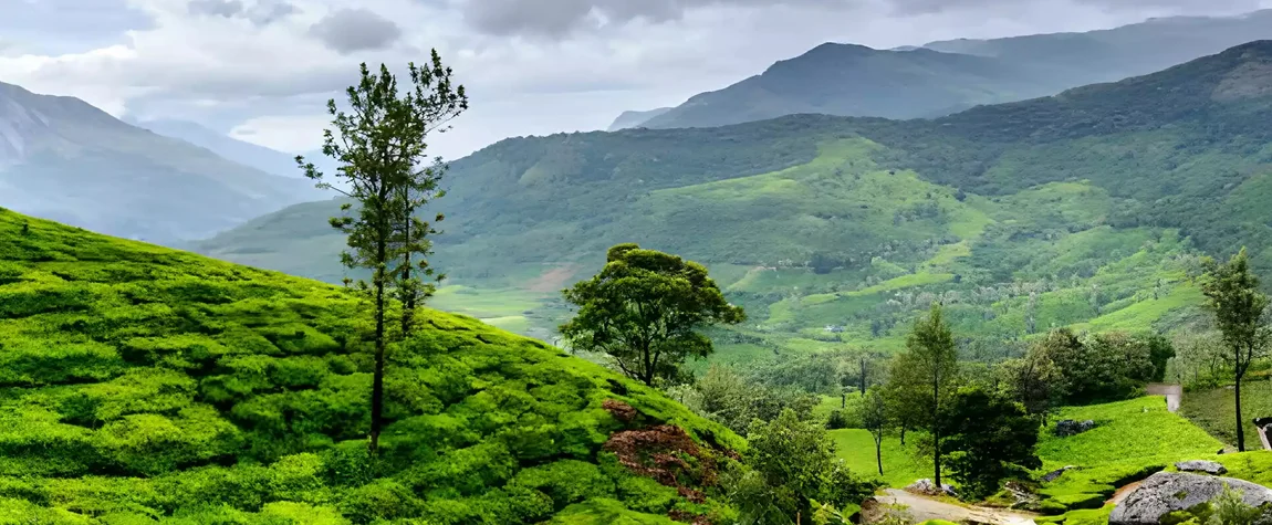  Wayanad